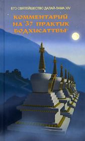 Книга - Комментарий на «37 практик бодхисаттвы».  Тензин Гьяцо  - прочитать полностью в библиотеке КнигаГо