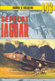 SEPECAT «Jaguar». Михаил Никольский