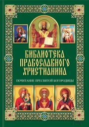 Почитание Пресвятой Богородицы. Павел Евгеньевич Михалицын