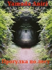 Книга - Прогулка по лесу (СИ).  Aniri Yamada  - прочитать полностью в библиотеке КнигаГо