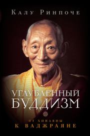 Книга - Углубленный буддизм. От Хинаяны к Ваджраяне.  Калу Ринпоче  - прочитать полностью в библиотеке КнигаГо