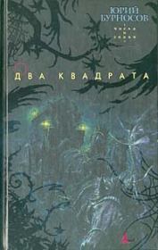 Книга - Два квадрата.  Юрий Николаевич Бурносов  - прочитать полностью в библиотеке КнигаГо