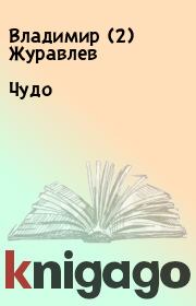 Книга - Чудо.  Владимир (2) Журавлев  - прочитать полностью в библиотеке КнигаГо