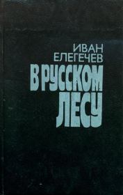 Книга - В русском лесу.  Иван Захарович Елегечев  - прочитать полностью в библиотеке КнигаГо