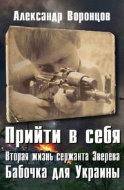 Книга - Бабочка для Украины.  Александр Евгеньевич Воронцов  - прочитать полностью в библиотеке КнигаГо