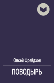 Книга - Поводырь.  Овсей Леонидович Фрейдзон  - прочитать полностью в библиотеке КнигаГо