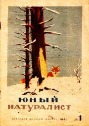 Журнал "Юный натуралист" №1, 1940. Автор неизвестен