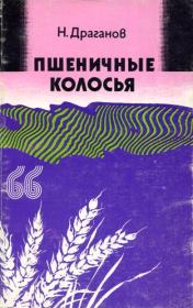 Книга - Пшеничные колосья.  Николай Драганов  - прочитать полностью в библиотеке КнигаГо