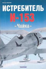 Истребитель И-153 «Чайка». Михаил Александрович Маслов