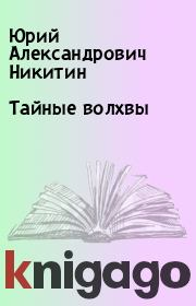 Книга - Тайные волхвы.  Юрий Александрович Никитин  - прочитать полностью в библиотеке КнигаГо