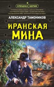 Книга - Иранская мина.  Александр Александрович Тамоников  - прочитать полностью в библиотеке КнигаГо