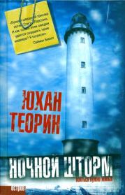 Книга - Ночной шторм.  Юхан Теорин  - прочитать полностью в библиотеке КнигаГо