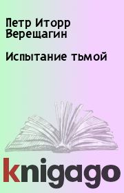 Книга - Испытание тьмой.  Петр Иторр Верещагин  - прочитать полностью в библиотеке КнигаГо