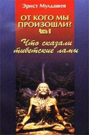 Книга - Что сказали тибетские ламы.  Эрнст Рифгатович Мулдашев  - прочитать полностью в библиотеке КнигаГо
