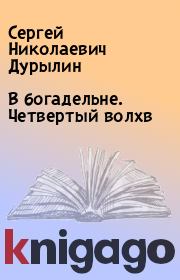 Книга - В богадельне. Четвертый волхв.  Сергей Николаевич Дурылин  - прочитать полностью в библиотеке КнигаГо