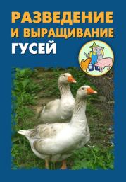 Разведение и выращивание гусей. Илья Мельников