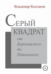 Книга - Серый квадрат: от Березовского до Навального.  Владимир Алексеевич Колганов  - прочитать полностью в библиотеке КнигаГо