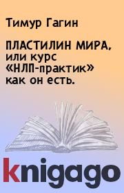 Книга - ПЛАСТИЛИН МИРА, или курс «НЛП-практик» как он есть..  Тимур Гагин  - прочитать полностью в библиотеке КнигаГо
