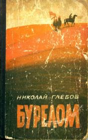 Книга - Бурелом.  Николай Александрович Глебов  - прочитать полностью в библиотеке КнигаГо