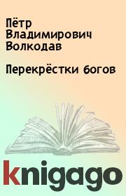 Книга - Перекрёстки богов.  Пётр Владимирович Волкодав  - прочитать полностью в библиотеке КнигаГо