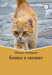 Книга - Кошка в окошке.  Михаил Владимирович Поборуев  - прочитать полностью в библиотеке КнигаГо
