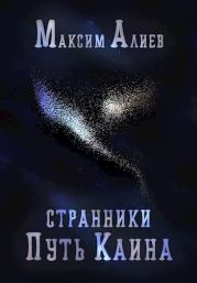 Книга - Странники. Путь Каина.  Максим Арастунович Алиев  - прочитать полностью в библиотеке КнигаГо