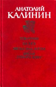Книга - Товарищи.  Анатолий Вениаминович Калинин  - прочитать полностью в библиотеке КнигаГо
