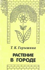 Книга - Растение в городе.  Тамара Константиновна Горышина  - прочитать полностью в библиотеке КнигаГо