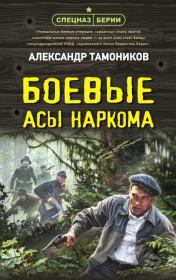 Книга - Боевые асы наркома.  Александр Александрович Тамоников  - прочитать полностью в библиотеке КнигаГо