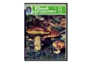 Книга - Юный натуралист 1982 №08.  Журнал «Юный натуралист»  - прочитать полностью в библиотеке КнигаГо