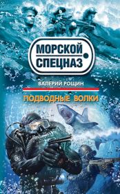 Книга - Подводные волки.  Валерий Георгиевич Рощин  - прочитать полностью в библиотеке КнигаГо