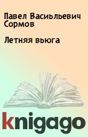 Книга - Летняя вьюга.  Павел Васиьльевич Сормов  - прочитать полностью в библиотеке КнигаГо