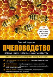 Книга - Пчеловодство: первые шаги к прибыльному хозяйству.  Василий Павлович Королев  - прочитать полностью в библиотеке КнигаГо