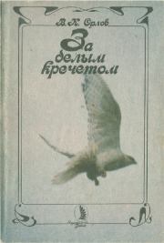 Книга - За белым кречетом.  Валерий Константинович Орлов  - прочитать полностью в библиотеке КнигаГо