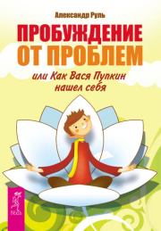 Книга - Пробуждение от проблем, или Как Вася Пупкин нашел себя.  Александр Руль  - прочитать полностью в библиотеке КнигаГо