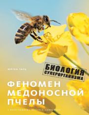 Феномен медоносной пчелы. Биология суперорганизма. Юрген Тауц
