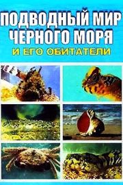 Книга - Подводный мир Черного моря.  Евгения П Искив  - прочитать полностью в библиотеке КнигаГо