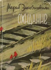 Книга - Ожидание.  Мераб Абелович Элиозишвили  - прочитать полностью в библиотеке КнигаГо
