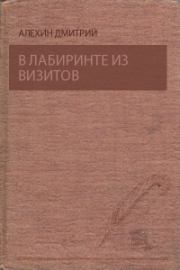 Книга - В лабиринте из визитов.  Дмитрий Алехин  - прочитать полностью в библиотеке КнигаГо