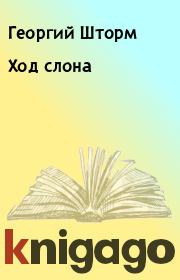 Книга - Ход слона.  Георгий Шторм  - прочитать полностью в библиотеке КнигаГо