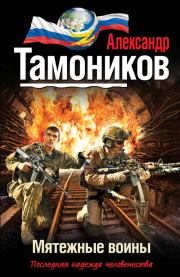 Книга - Мятежные воины.  Александр Александрович Тамоников  - прочитать полностью в библиотеке КнигаГо