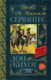 Книга - Дон Кихот.  Мигель де Сервантес Сааведра  - прочитать полностью в библиотеке КнигаГо