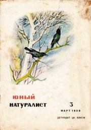Юный натуралист 1938 №3. Журнал «Юный натуралист»