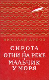 Книга - Огни на реке.  Николай Иванович Дубов  - прочитать полностью в библиотеке КнигаГо
