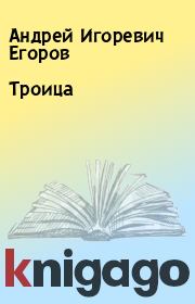 Книга - Троица.  Андрей Игоревич Егоров  - прочитать полностью в библиотеке КнигаГо