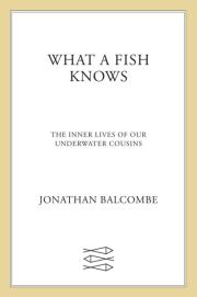 Что знает рыба. Внутренняя жизнь наших подводных сородичей. Jonathan Balcombe