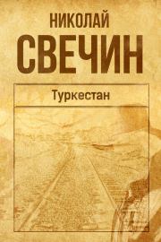 Книга - Туркестан.  Николай Свечин  - прочитать полностью в библиотеке КнигаГо
