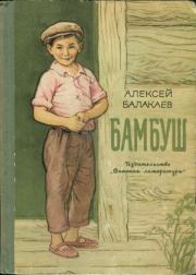 Книга - Бамбуш.  Алексей Гучинович Балакаев  - прочитать полностью в библиотеке КнигаГо