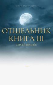 Книга - Отшельник Книга 3.  Сергей Николаевич Шкенёв  - прочитать полностью в библиотеке КнигаГо
