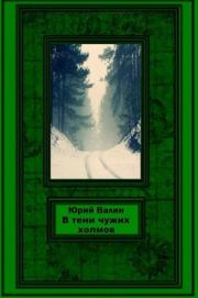 Книга - В тени чужих холмов.  Юрий Павлович Валин  - прочитать полностью в библиотеке КнигаГо